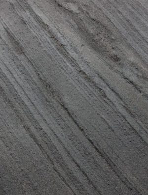 Blackburn 100 (echantillon)