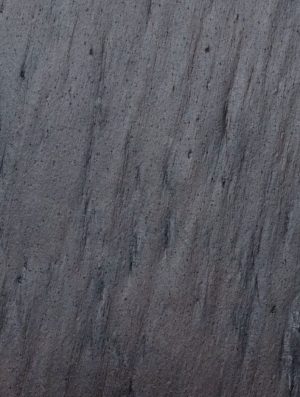 Blackburn 101 (echantillon)