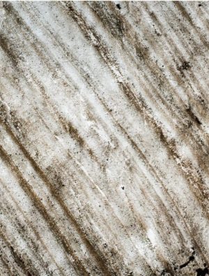 Blackburn 100 Translucide (echantillon)