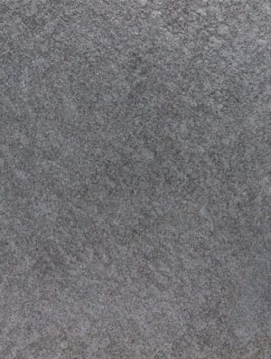 Blackburn 202 (echantillon)