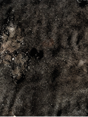 Blackburn 101 Translucide (echantillon)