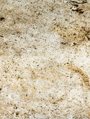 Feuille de pierre Translucide 100% naturelle Jorasses 204