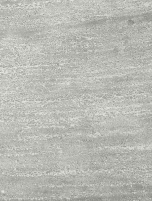 Feuille de pierre 100% naturelle Whitney