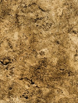 Feuille de pierre Translucide 100% naturelle Bona 100