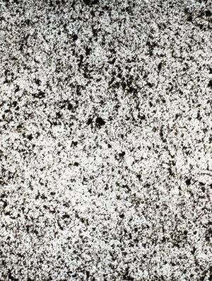 Feuille de pierre Translucide 100% naturelle Cervin 201