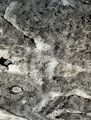 Feuille de pierre Translucide 100% naturelle Blackburn 200