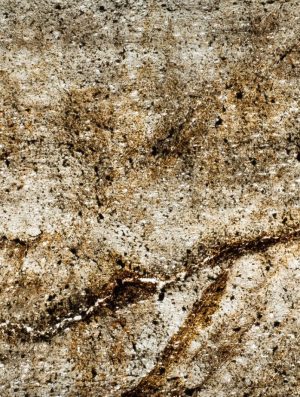 Feuille de pierre Translucide 100% naturelle Jorasses 205