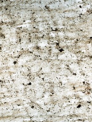 Feuille de pierre Translucide 100% naturelle Jorasses 203