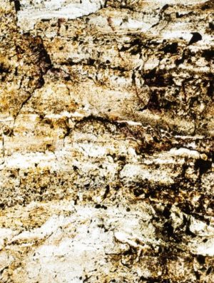 Feuille de pierre Translucide 100% naturelle Jorasses 201