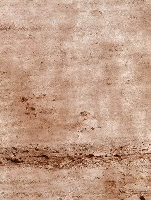 Feuille de pierre Translucide 100% naturelle Java