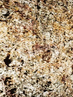 Feuille de pierre Translucide 100% naturelle Everest 200