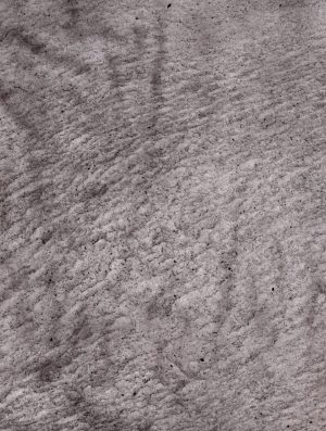 Feuille de pierre Translucide 100% naturelle Blackburn 201